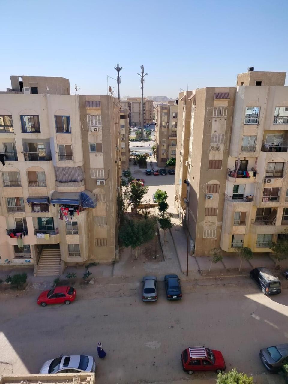 Mahmoud Raafat Cairo