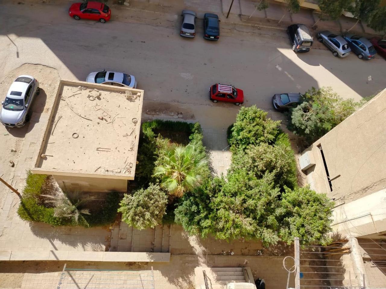 Mahmoud Raafat Cairo
